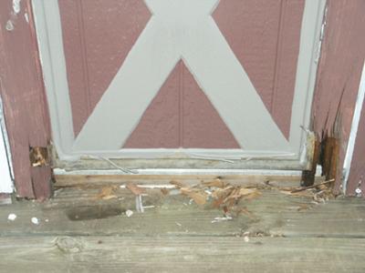 My Rotten Shed Door