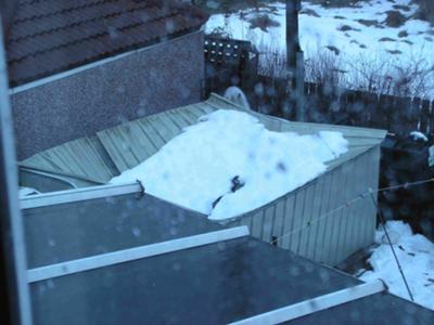 Metal Shed Roof Collapse