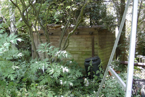 Repairing A Shed Roof - Don't worry its not a difficult as 