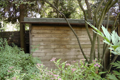 repairing a shed roof