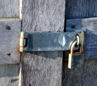 Shed security hinges