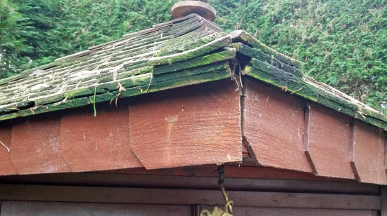 cedar roof repair