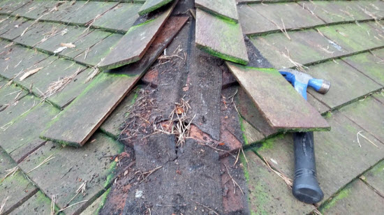 cedar roof repair
