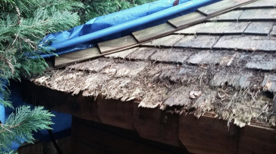 cedar roof repair