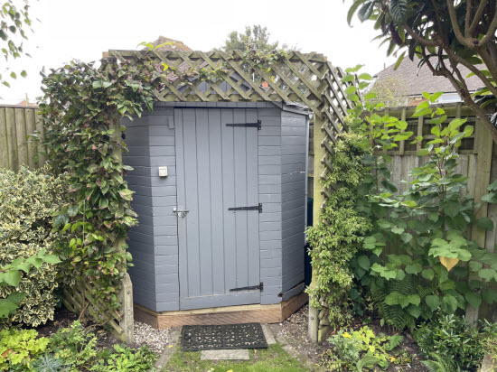 ivy supported on trellis around a shed