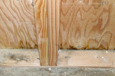 Internal view of leak