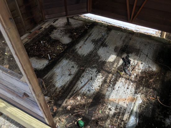 concrete slab beneath decaying shed floor