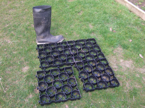 Interlocking plastic foundation grids