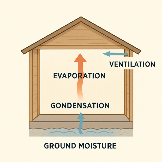 Infographic showing sources of moisture in a shed