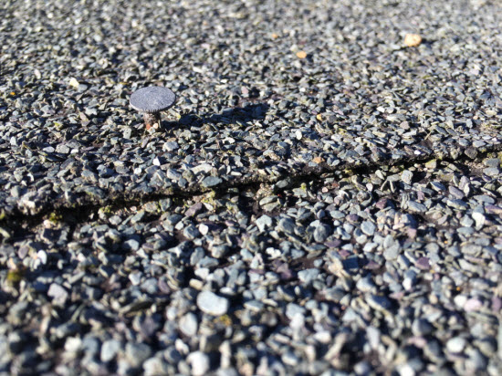 Roofing nail escaping out of roof felt