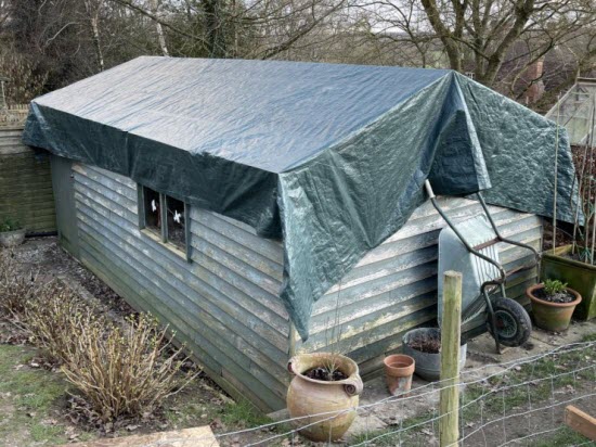 12 Common Shed Roofing Materials and How to Install Them
