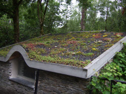 Your Comprehensive Guide To The Best Shed Roofing Options