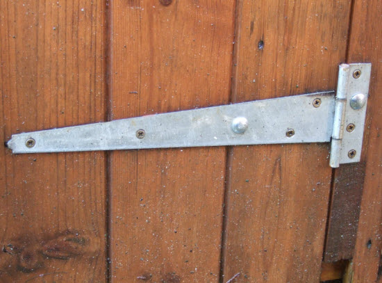 shed security hinge