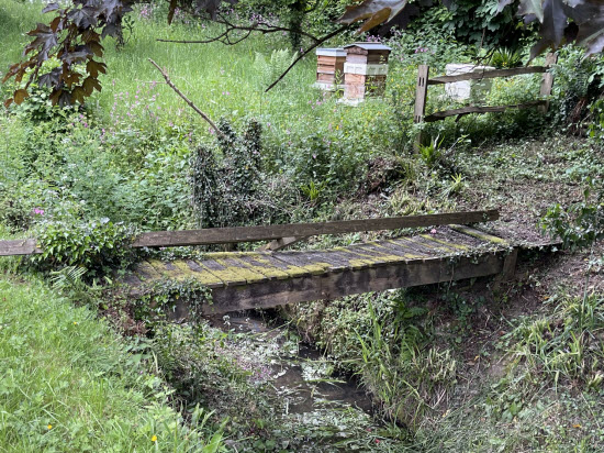 Rotten wooden garden bridge