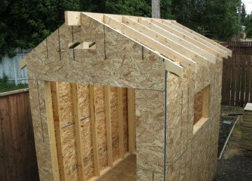 shed roof
